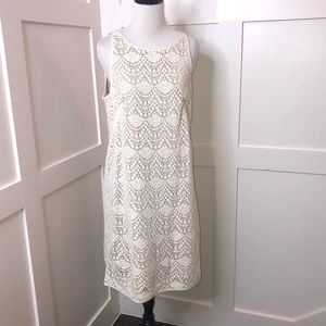 LOFT Lace pullover dress